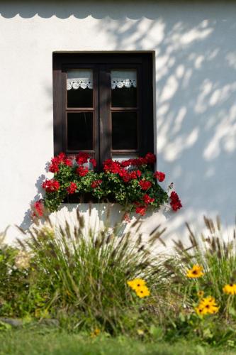 Gierczynowka zewn-073