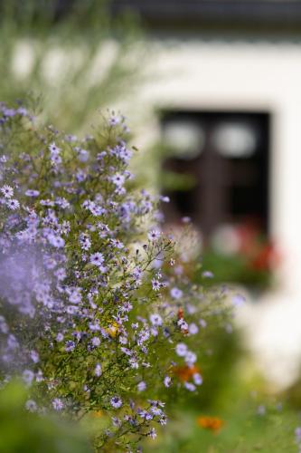 Gierczynowka zewn-074