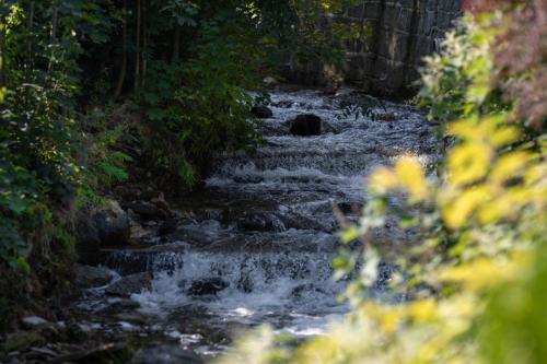 Gierczynowka zewn-076