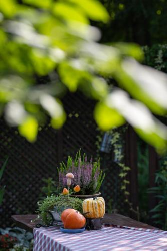 Gierczynowka zewn-078