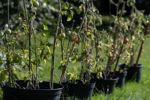 Gierczynowka zewn-082